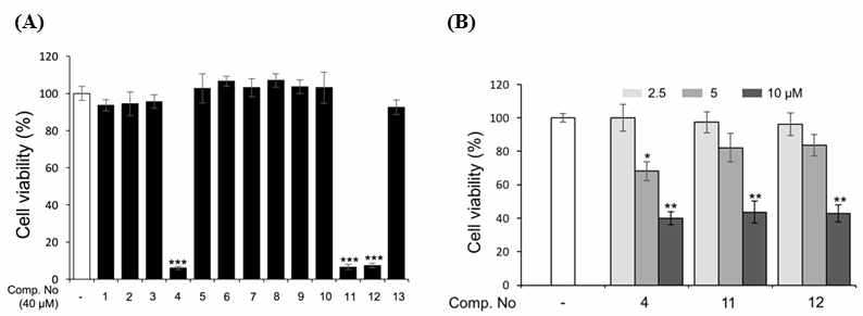 Effects of triterpenoids (1-13) on the cytotoxicity in 3T3-L1 adipocytes Cells were incubated with all isolated-compounds at the concentration of 40 mM (A) or three compounds (5, 11, and 12) at different concentrations (B)