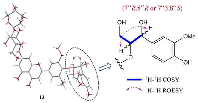 Key 1H-1H COSY and ROESY correlations of the guaiacylglyceryl moiety of compound 13