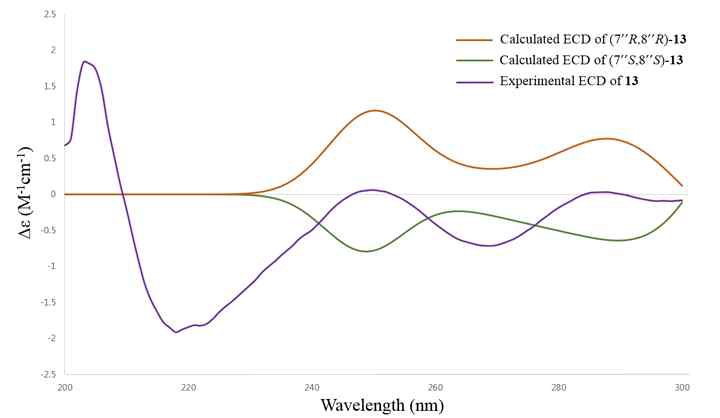 Comparison of the experimental and calculated ECD spectra of compound 13