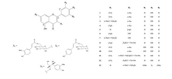 Chemical structures of the 13 compounds isolated from Sicyos angulatus