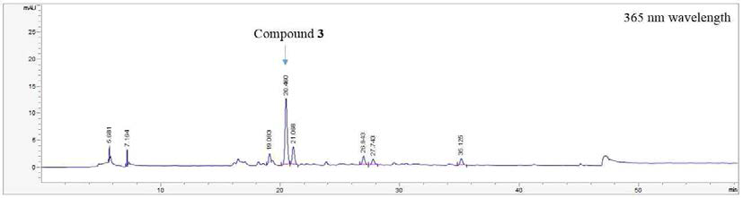 HPLC chromatogram of the 70% ethanol extract of S. angulatus at 365 nm