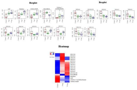 Box plot 및 heat map 분석 결과 항산화 및 지방산 관련 대사체의 유의한 차이를 확인