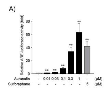 Nrf2/ARE 활성화