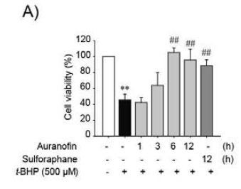 시간의존적인 오라노핀의 t-BHP에 의한 세포사멸 방어효과