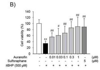HepG2 세포에서 오라노핀의 농도의존적인 t-BHP 세포사멸 방어효과