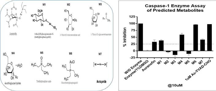 오라노핀과 예상대사체 7개에 대한 caspase-1 활성 억제능 비교