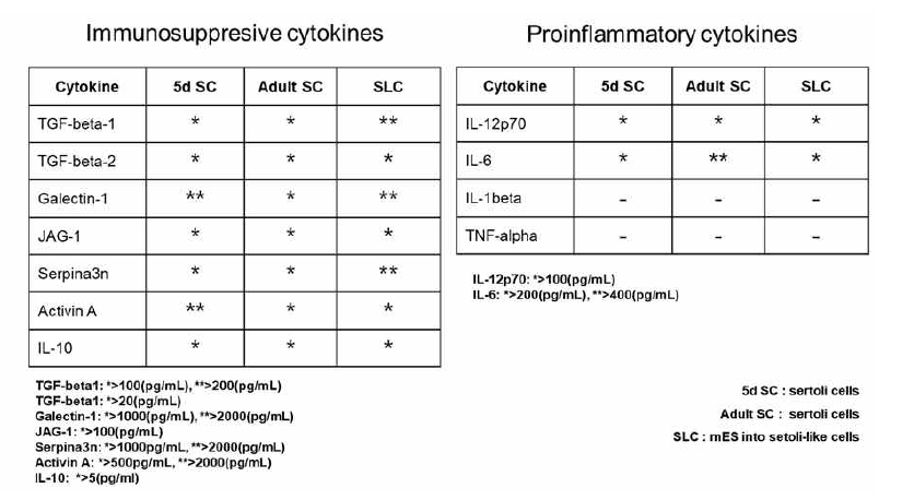 세르톨리 세포에서 분비하는 사이토카인 분석