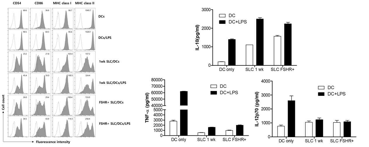 수지상세포의 표현형 및 면역억제/활성인자 발현 분석