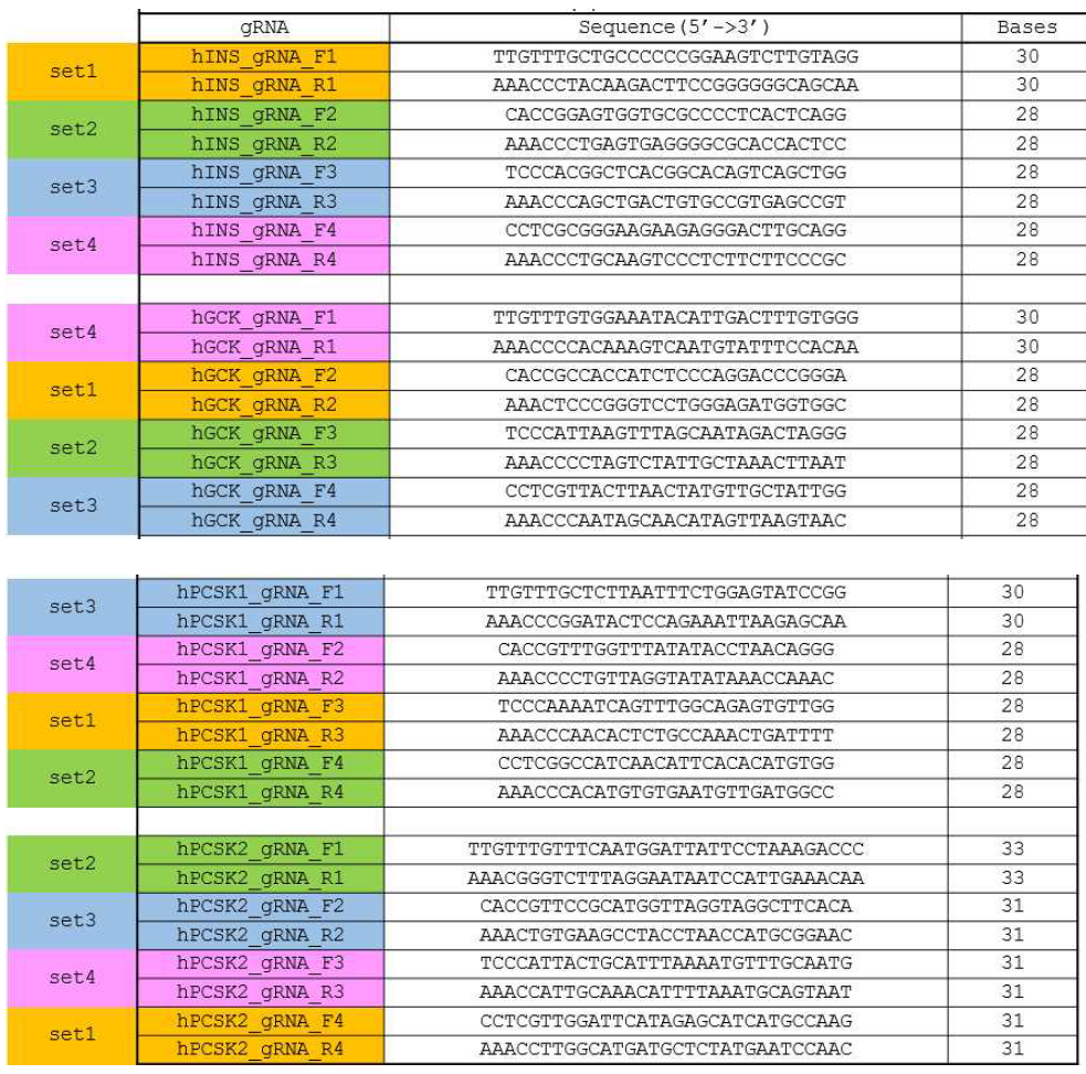 표적 유전자에 대한 새로운 gRNA시퀀스 (툴젠 디자인)