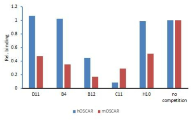 Competition assay를 통한 항체의 OSCAR 중화능 분석. B12 및 C11 클론들은 인간 및 마우스 OSCAR에 대하여 실험조건 하에서 중화능을 나타냄. 나머지 항체들은 마우스 OSCAR에 대해서만 중화능을 보임. Collagen (type I from rat tail) 2 μg/mL 코팅 (4oC, O/N); 3% skim milk-PBST로 블로킹; 항체 (2 μg/mL) 및 OSCAR (1 μg/mL)를 상온에서 1.5시간 인큐베이션; goat anti-hIgG-HRP 항체로 collagen과 결합한 OSCAR-Fc를 검출. 각 data는 3중반복(triplicate) 결과의 평균