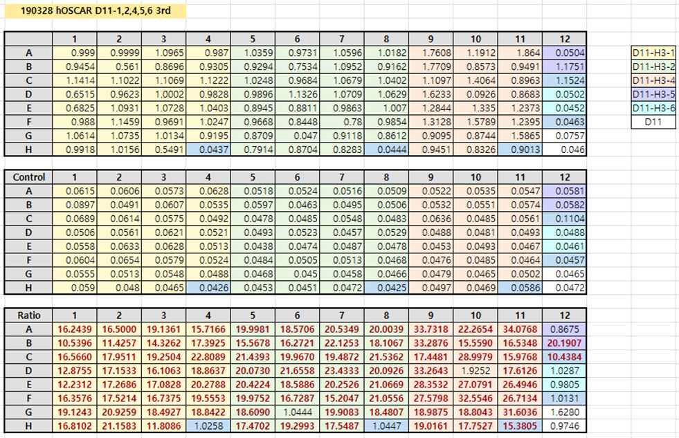 D11 클론의 affinity maturation 결과. High stringency 패닝을 수행하였으므로 대부분의 클론들이 결합시그널을 보임. D11-H3-3,5,6 라이브러리는 output colony 개수가 적어서 이후 추가 스크리닝을 수행함 (data not shown)