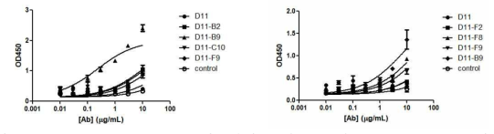 D11 affinity maturation으로부터 도출된 7종의 클론들의 serial dilution ELISA 및 4-parameter logistic curve fit