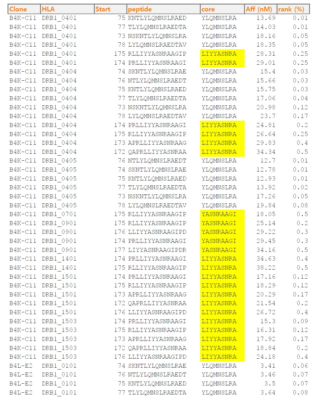 선도 항체 및 affinity maturation 된 항체들의 T cell epitope 분석. 5종의 항체를 통틀어서 유일하게 B4K-C11의 CDR-L2에서만 strong binder (percentile rank ≦ 0.5%)가 발견되었다 (노란색). NetMHCIIpan-3.1 software로 분석하였다