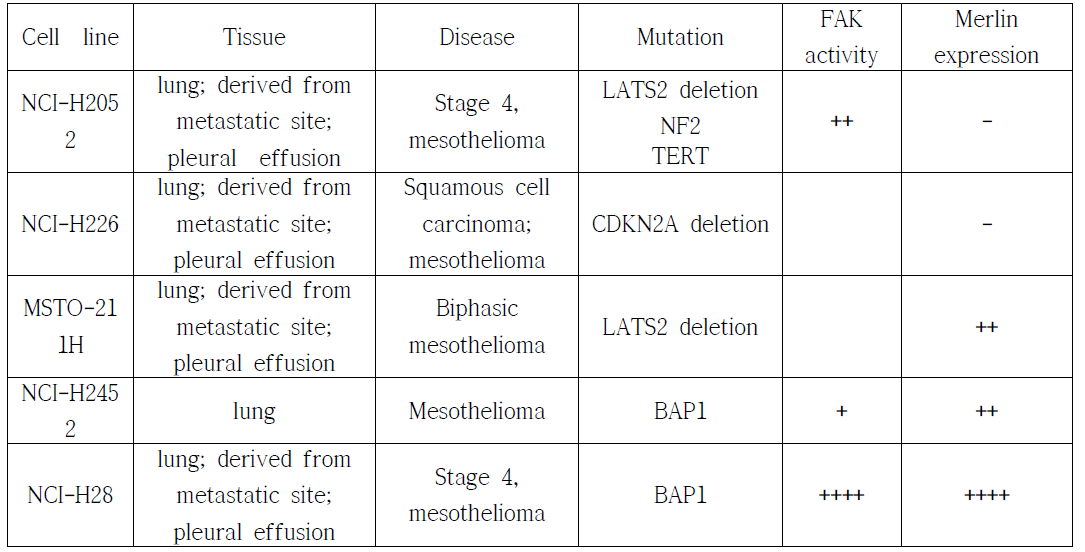 Characterization of human mesothelioma cell lines