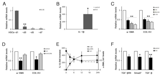 The inhibitory effects of R-III on HSC activation is mediated by IL-1b