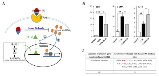 RA sequestration is important for the anti-fibrotic activity of R-III