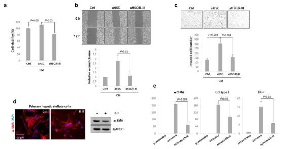 The anti-fibrotic effect of R-III on RSCs in vitro