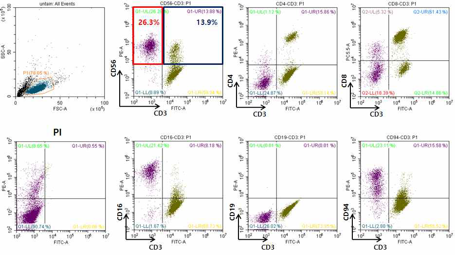 체외배양 7일째 자가 면역세포배양액의 세포 특성 분석