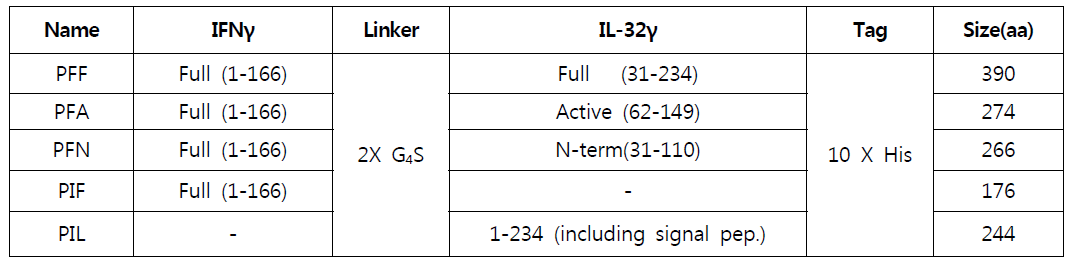 동물세포(HEK293)에서 제작하기 위한 5종 재조합 IFNγ-IL32γ constructs 확정