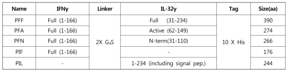 동물세포(HEK293)에서 제작하기 위한 5종 재조합 IFNγ-IL32γ constructs 확정