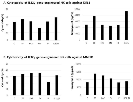 IL32γ 유전자 발현에 의한 NK세포의 세포살상 효능 향상