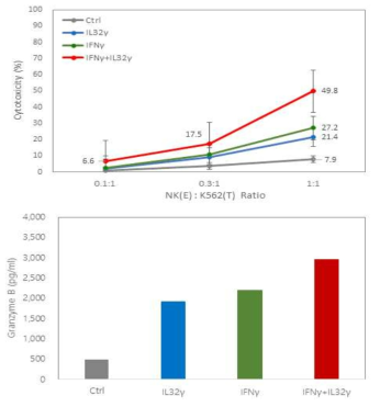 IL32γ 유전자발현 NK세포의 in vitro 항암활성