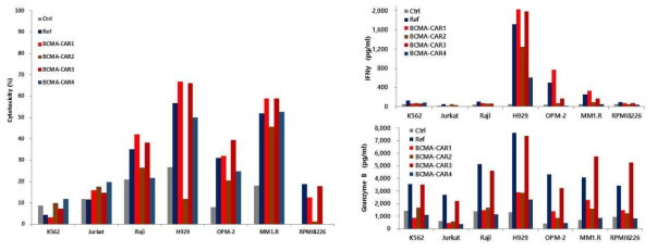 BCMA-CAR1 NK의 MM 암세포주에 대한 in vitro 항암 활성