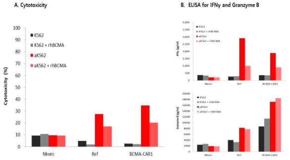 BCMA-CAR1 NK세포의 rhBCMA protein을 이용한 competition assay