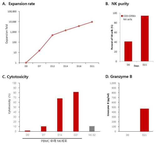 PBMC 유래 NK세포의 대량 배양 및 항암 활성