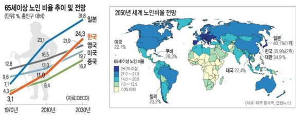 65세 이상 노인 비율 추이 및 전망