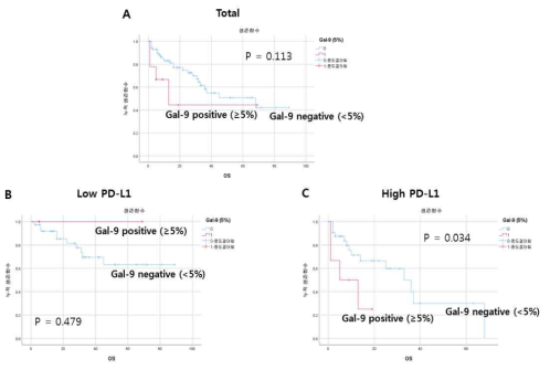 골수 내 형질세포(골수종세포)에서 PD-L1과 Gal-9 발현에 따른 생존분석