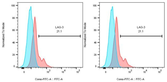 flow cytometry를 이용한 골수미세환경의 CD8+ T-cell에서 Lag-3 발현