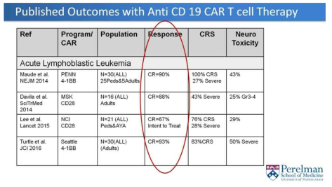 CD19 CAR T 세포치료제의 임상시험 결과 요약