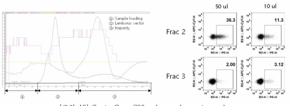 Capto Core 700 column chromatography