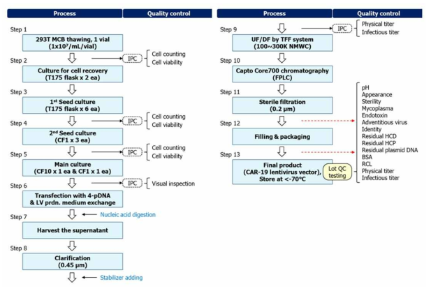 렌티바이러스 제조 공정도