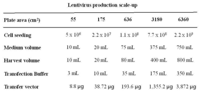 렌티바이러스 제조 scale-up 배양용기에 대한 최적 조건 설정