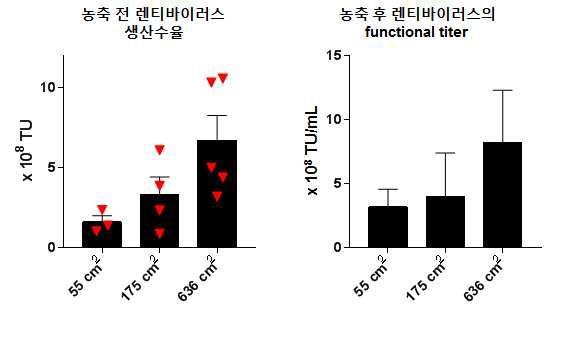 배양용기에 따른 렌티바이러스 생산수율과 농축 후 functional titer 확인