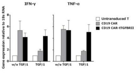TGF-β 재조합 단백질 첨가에 따른 cytokine 분비량 확인