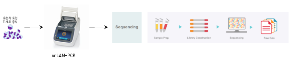 LISA (lentivirus integration site analysis) 시험방법 모식도