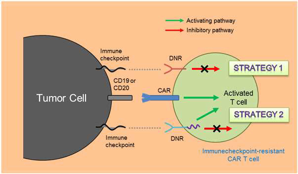 암세포 매개 Immunecheckpoint를 억제할 수 있는 CAR T 세포 전략