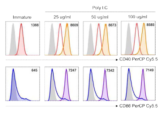 Poly I:C 농도에 따른 DC 표면인자 발현정도 확인. 4일 동안 배양한 정상인 혈액유래 DC에 농도별로 poly I:C를 처리하고 18시간동안 배양한 다음 CD40과 CD86의 발현 정도를 분석하였음