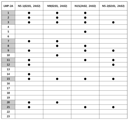 LMP-2A peptide library screening 결과