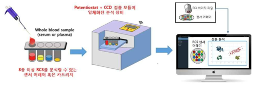 본 과제를 통해 최종적으로 개발된 RCS/대사체-ECL 다중/신속 현장 진단 시스템 및 그 패턴 변화를 통한 질병 연구의 예상 모식도