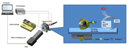 1차년도 과제 수행을 통해 개발한 flow electrochemical cell 기반의 ECL 면역진단 기기의 모식도