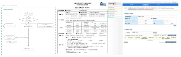 (좌) 연구 계획 모식도, (중) IRB 심의 의뢰서, (우) 웹기반 데이터베이스