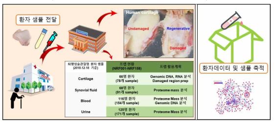 퇴행성슬관절염 환자 유래물 수집 현황 및 활용