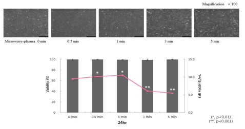 마이크로파 플라즈마 시간별 처리 시 섬유아세포의 세포 생존율