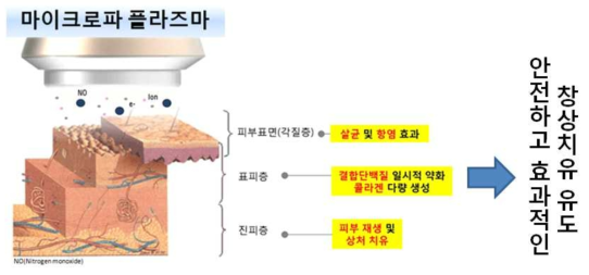 플라즈마로 인한 상처재생 효능