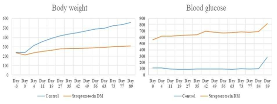 당뇨를 유도한 rat의 무게와 혈당의 변화