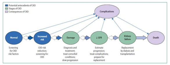 만성신장질환의 개념. Levey et al, 2012